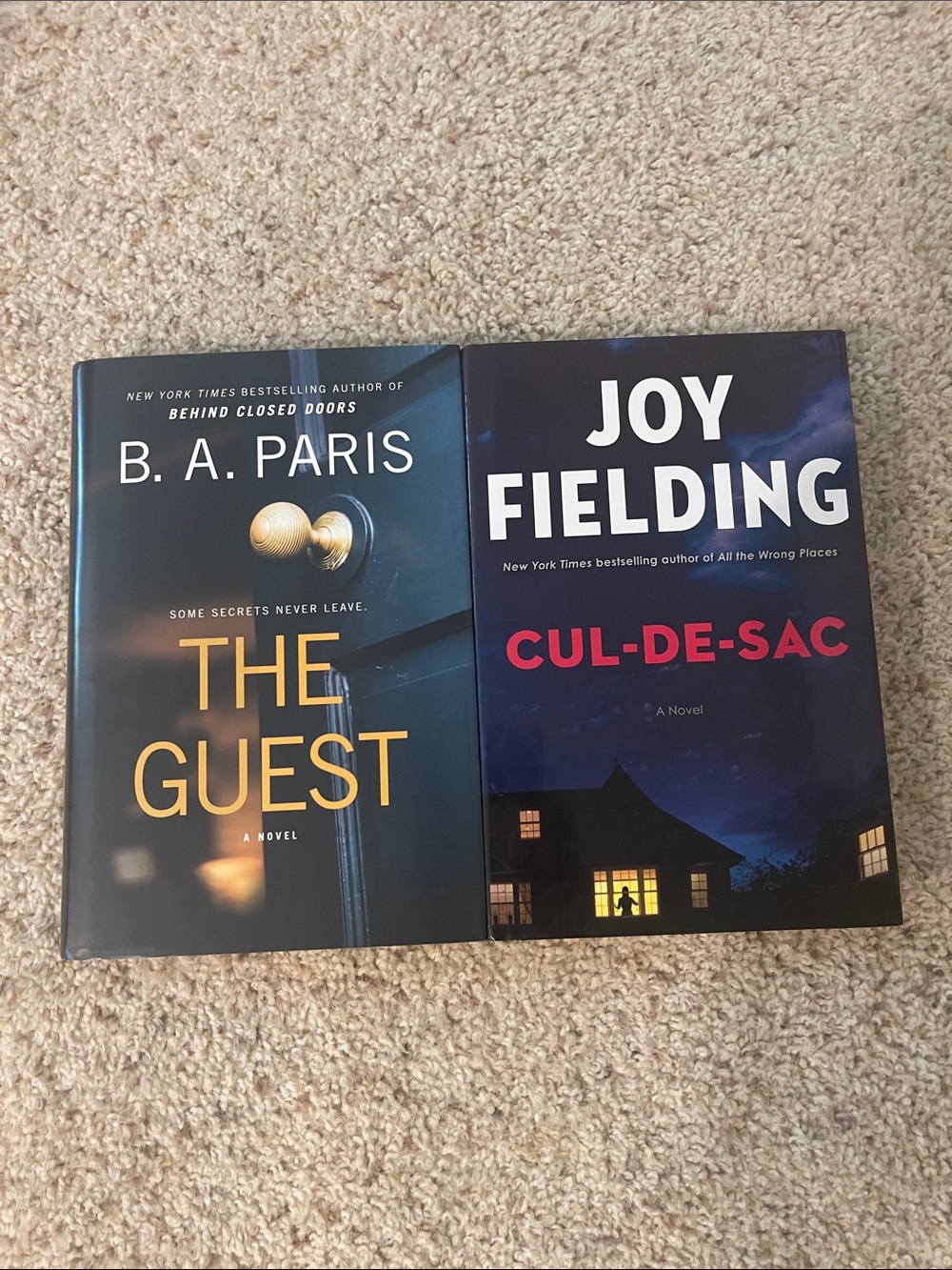 Thriller book bundle: cul de sac & the guest